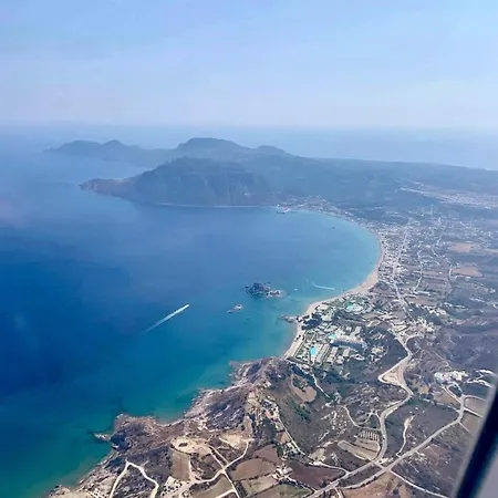 アパート The Palm Tree *