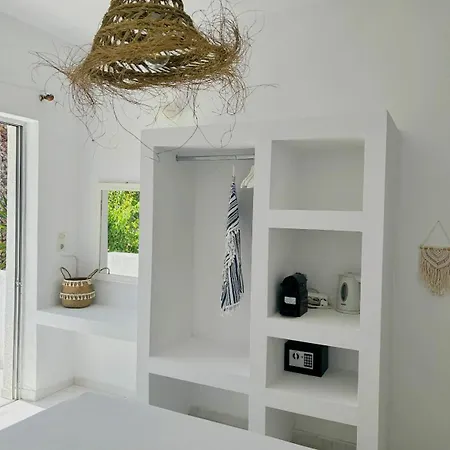The Palm Tree