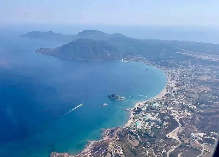 Lejlighed The Palm Tree *